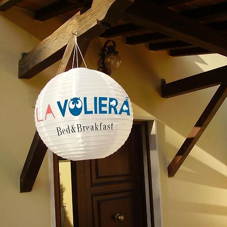 La Voliera Bed & Breakfast Pisa Exteriör bild