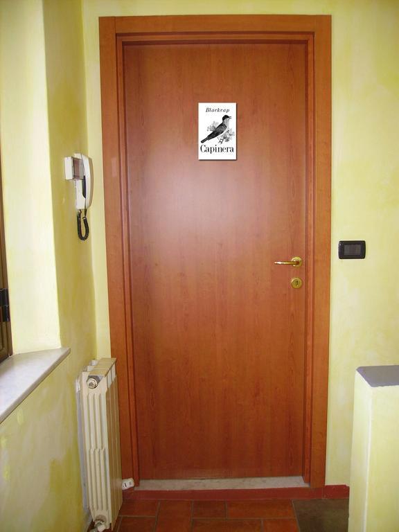 La Voliera Bed & Breakfast Pisa Rum bild